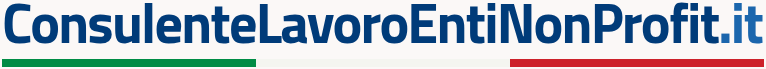 Consulente Lavoro Enti Non Profit